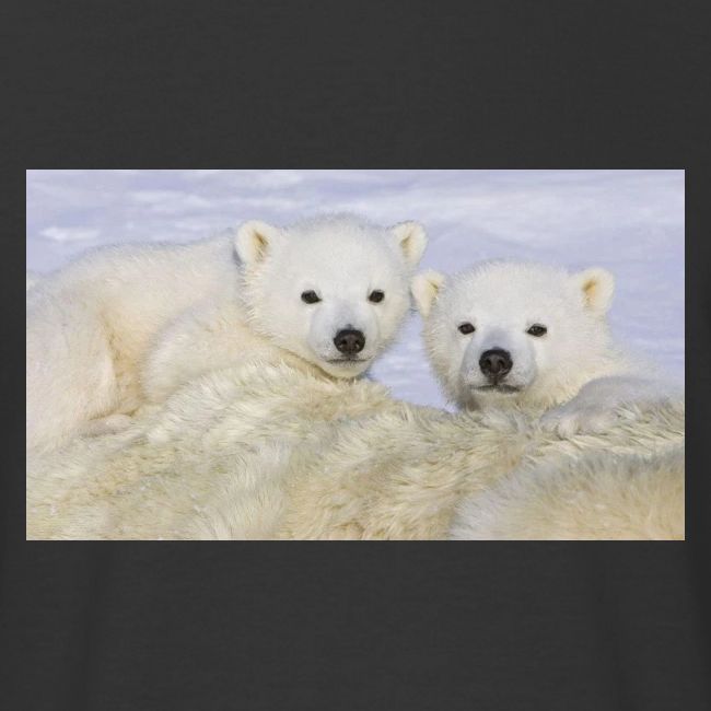 polarbears