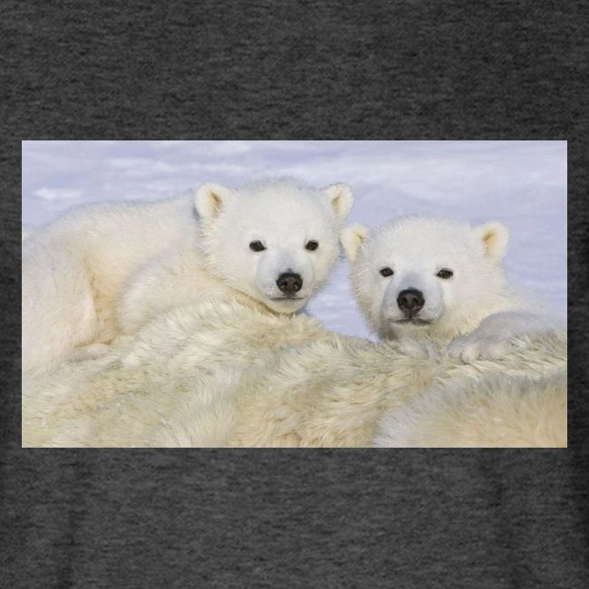 polarbears
