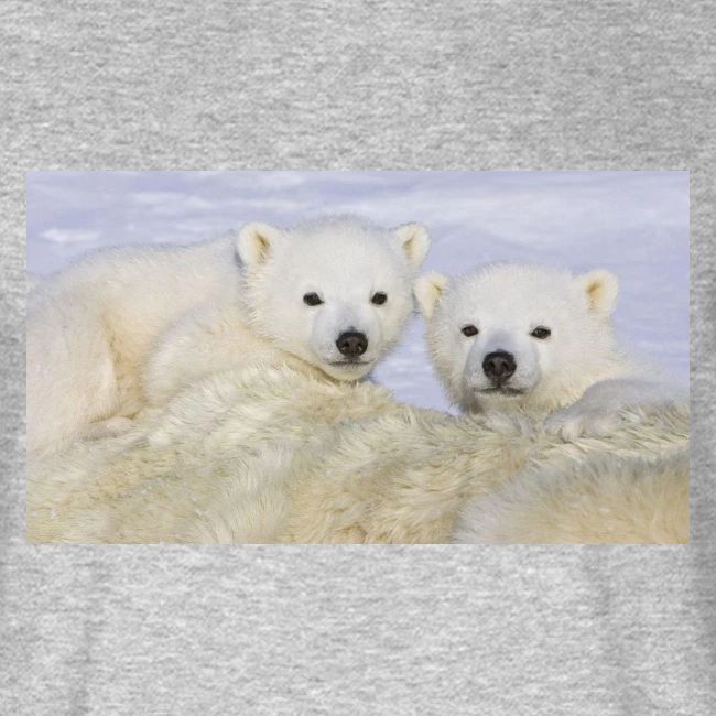 polarbears