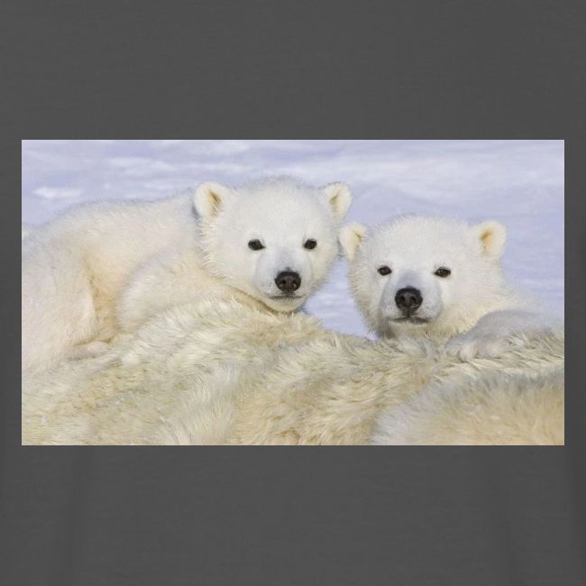 polarbears