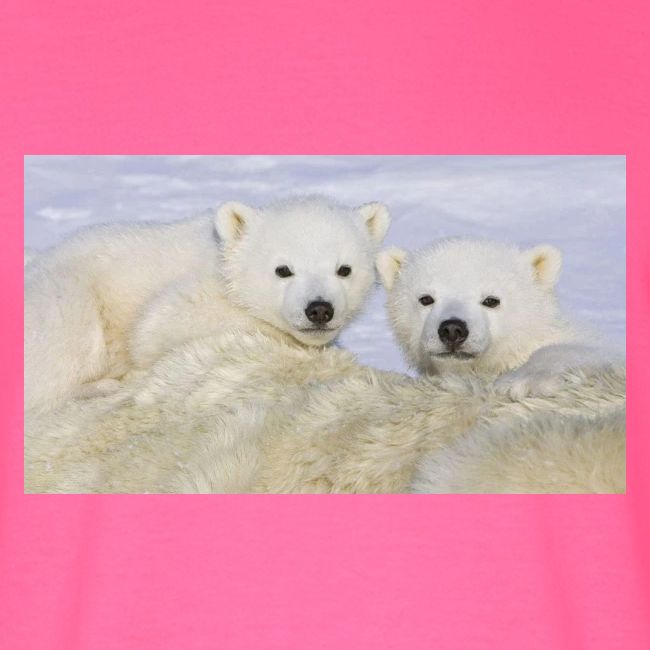 polarbears