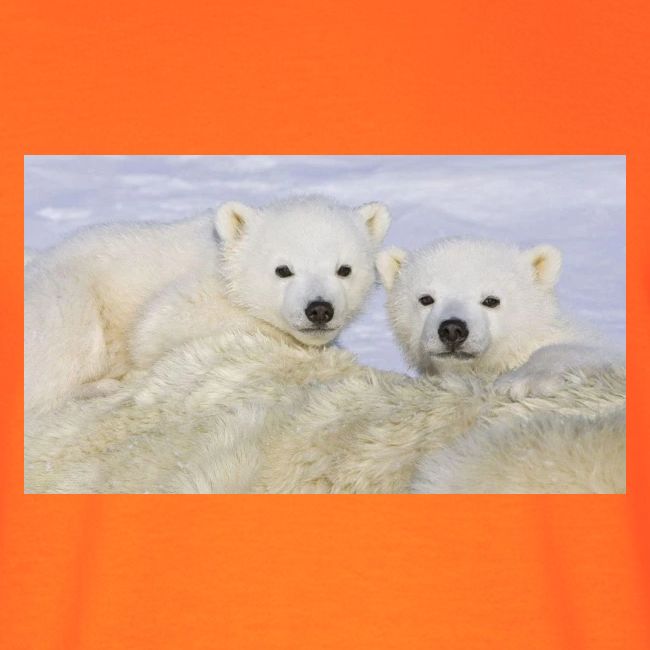 polarbears