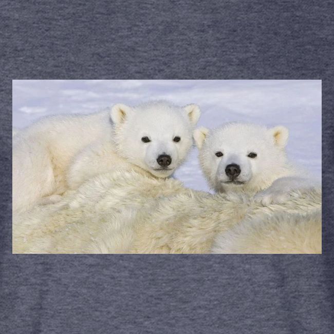 polarbears
