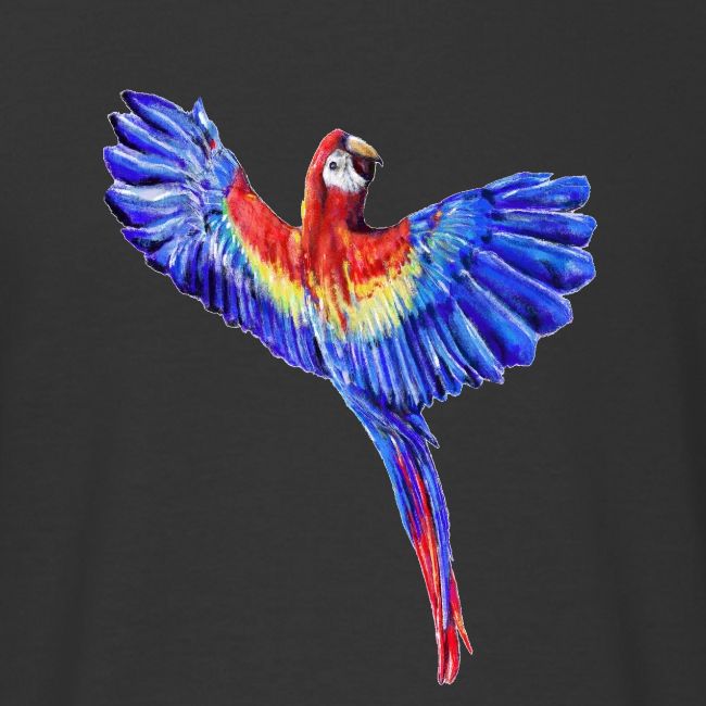 Scarlet macaw parrot