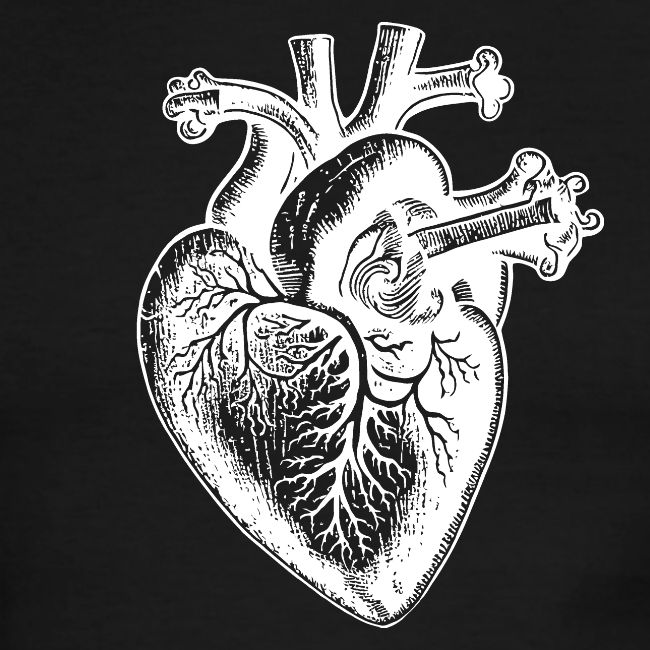 Heart