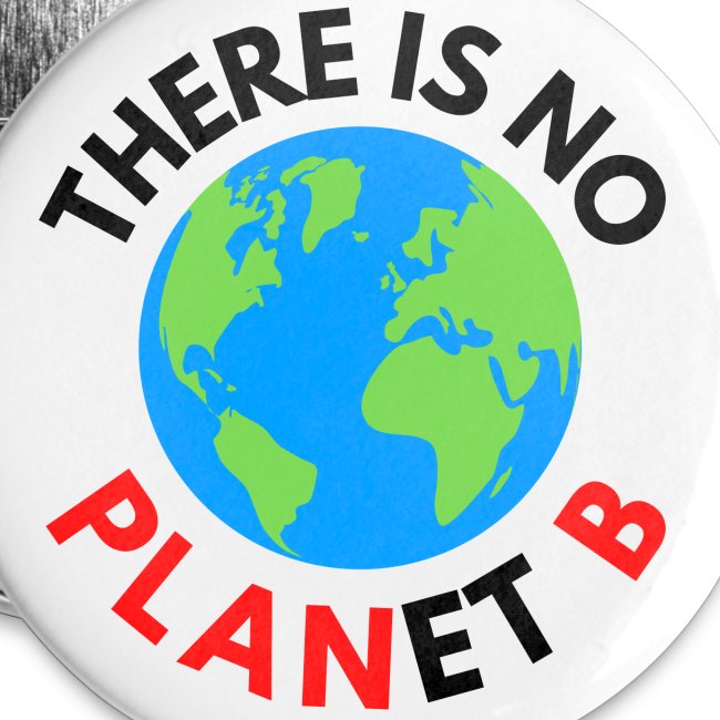 There Is No Planet B, Earth Day Celebration Gift