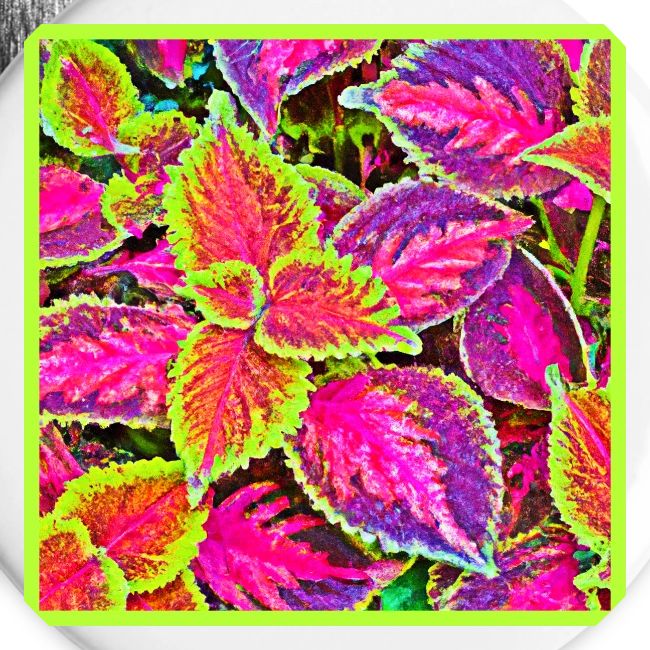 Vivid ChromaLeaf Harmony Pattern