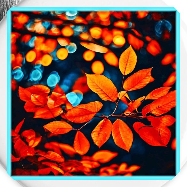 Vibrant Orange Leaves