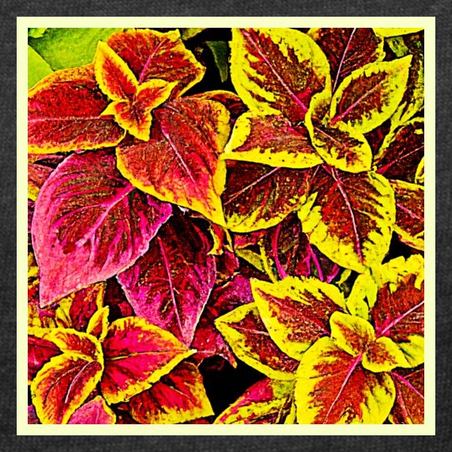 Coleus Leaf Burst Design