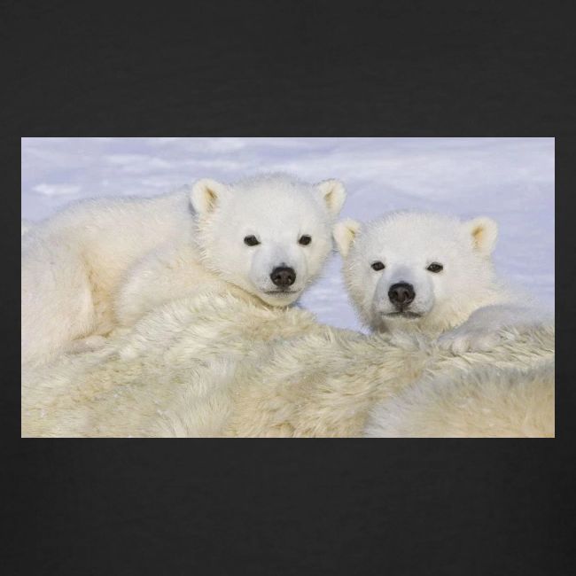 polarbears