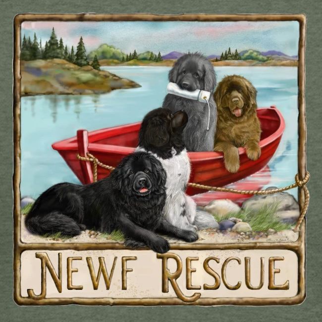 NCA Newfoundland Dog Rescue Gear