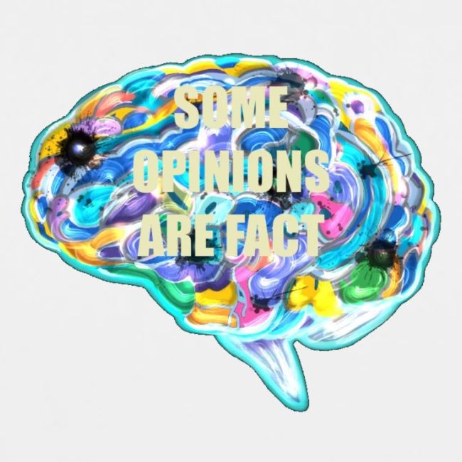 brain fact