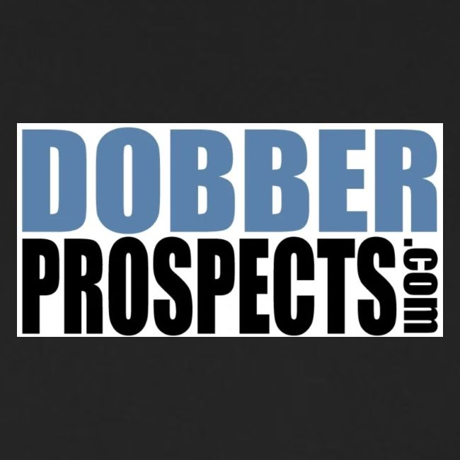 dobber prospects part log