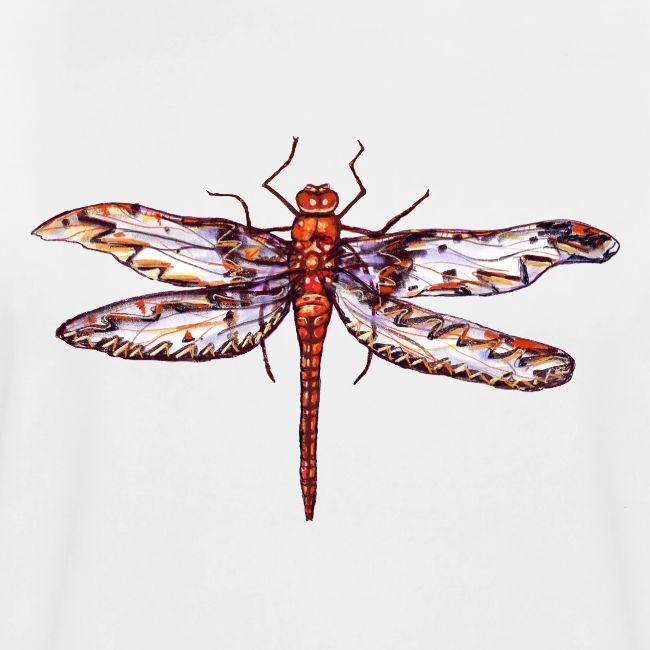 Dragonfly red