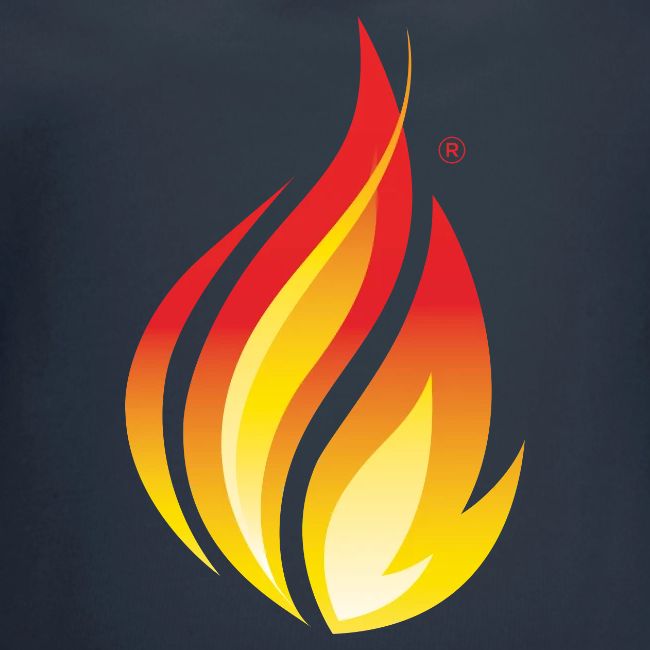 HL7 FHIR Flame Logo