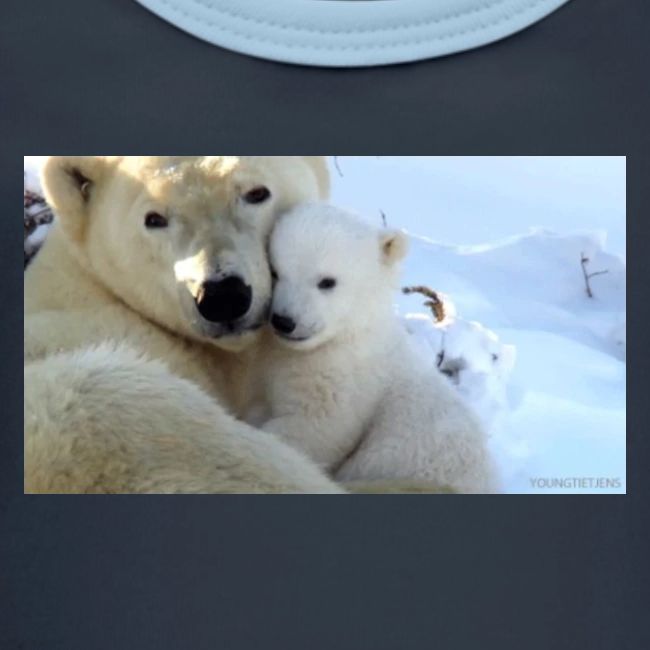 polarbearhug