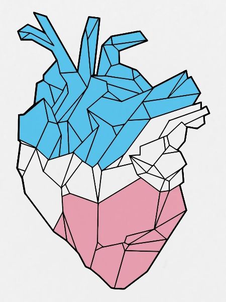 Trans Heart