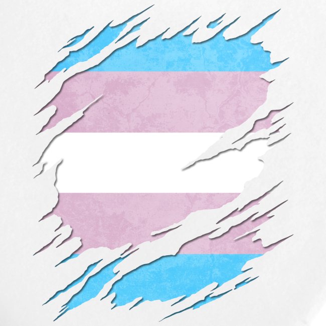 Transgender Pride Flag Ripped Reveal