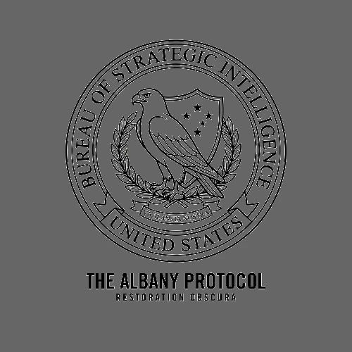 BSI | From The Albany Protocol - Poster 24x24
