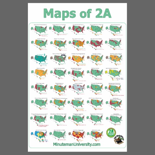 Sate Gun Law Maps 2022 - Poster 8x12