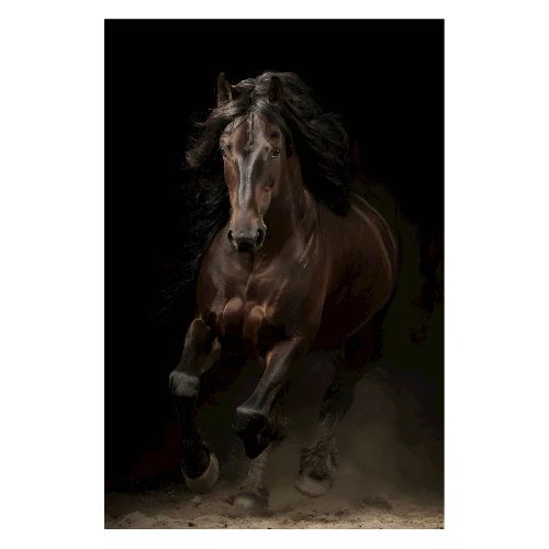 Horse: Charge of Power - Poster 8x12
