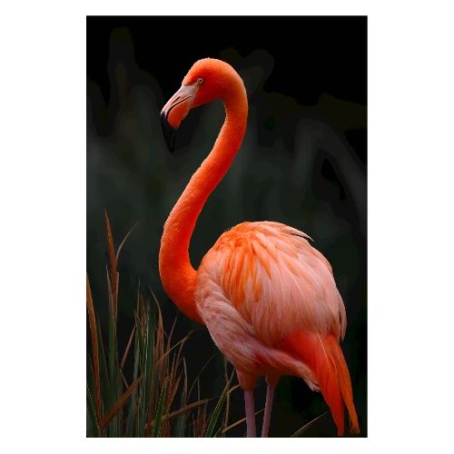 Flamingo Glow - Poster 8x12