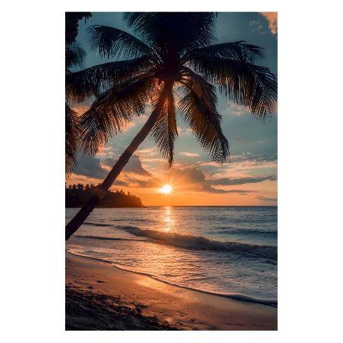 Palm at Dusk - Poster 8x12