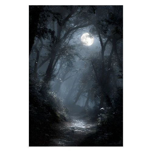 Echoes of the Silver Night - Poster 8x12