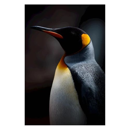 Penguin: Royal Gaze - Poster 8x12