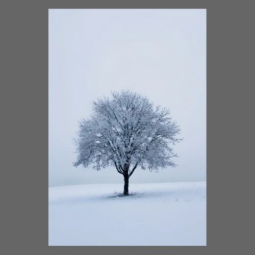 Winter: Frostbound Solitude - Poster 8x12