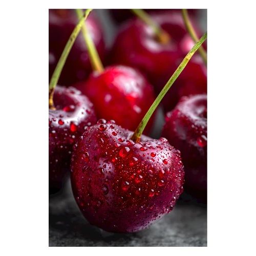 Cherries: Scarlet Luster - Poster 8x12