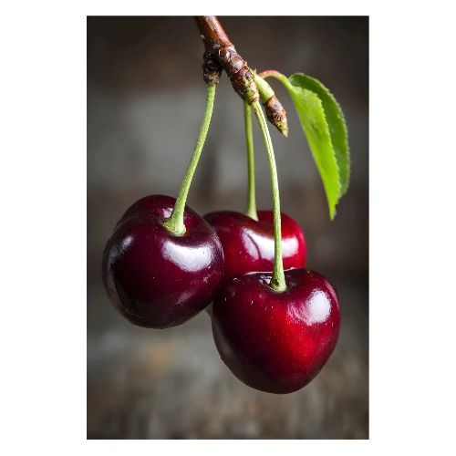 Cherries: Crimson Trio - Poster 8x12
