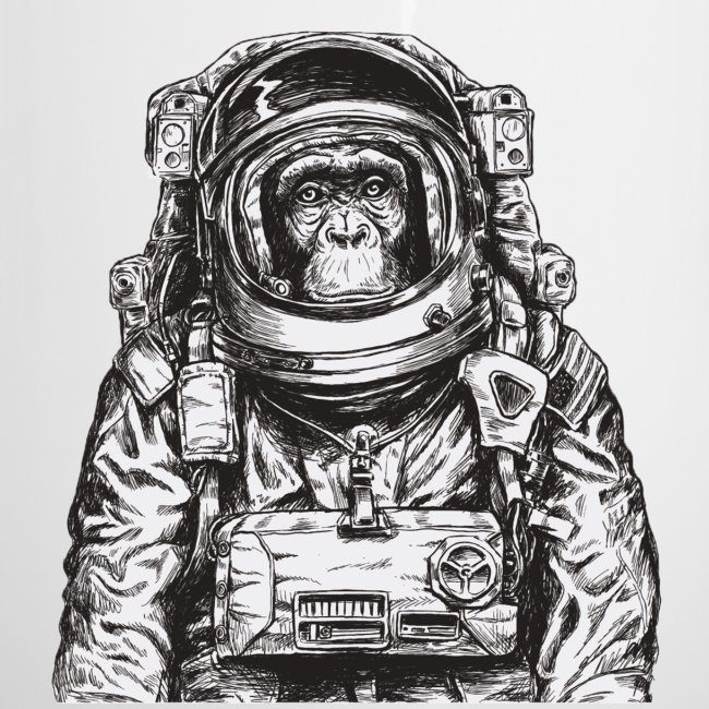 Astronaute de singe