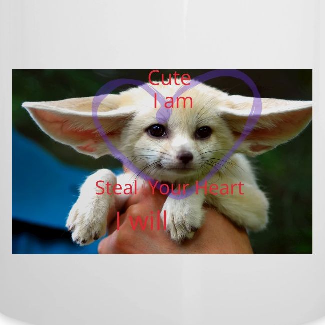baby fox