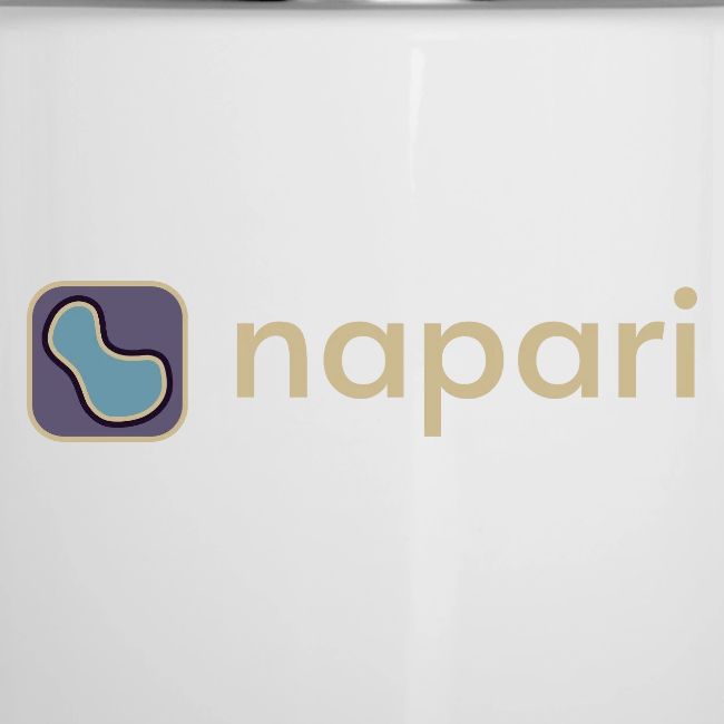 napari merch (lighter design)