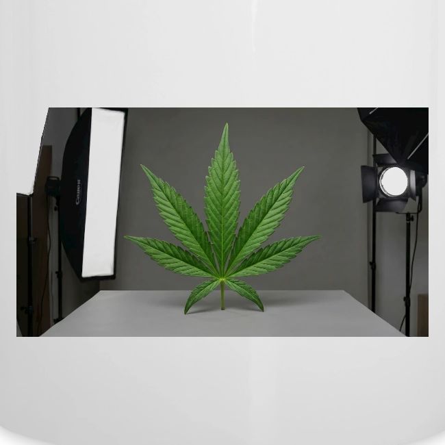 ***CANNABIS LEAF TEE***