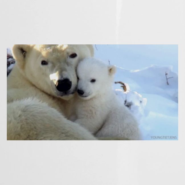polarbearhug