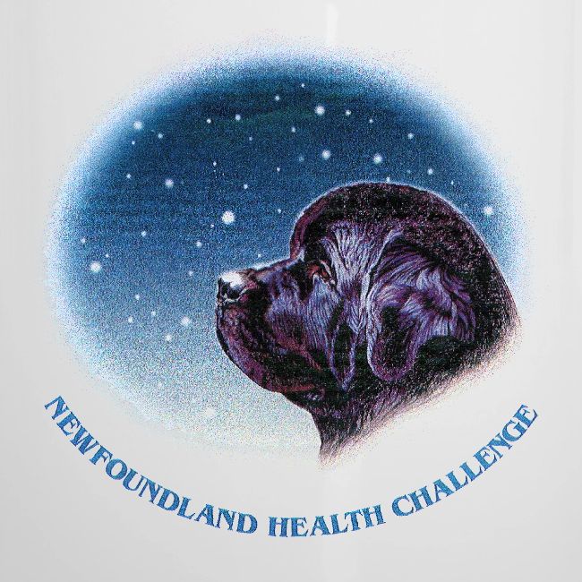 NCA Newfoundland Health Challenge Logo Gear