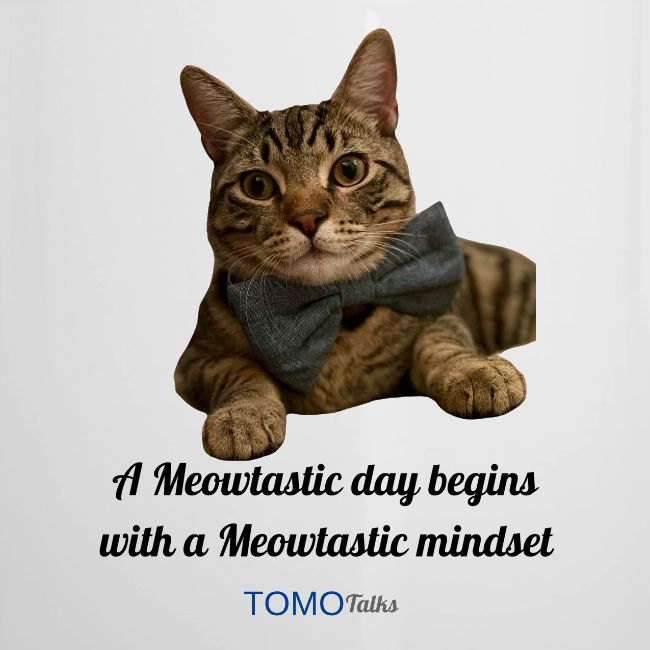 Meowtastic Mindset