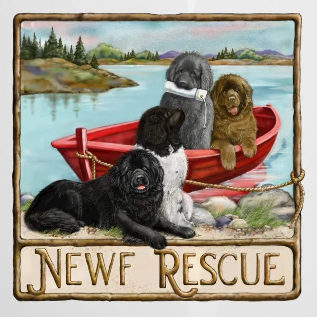 NCA Newfoundland Dog Rescue Gear