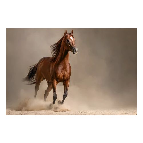 Horse: Earthen Gallop - Poster 36x24