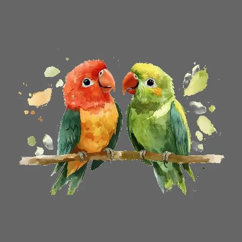 Parrot Companions - Poster 36x24