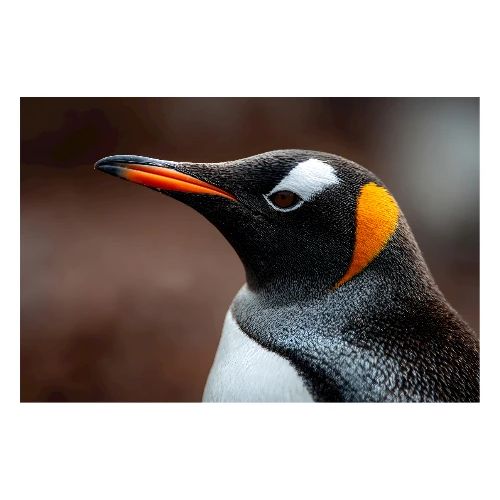 Penguin: Majestic Profile - Poster 36x24