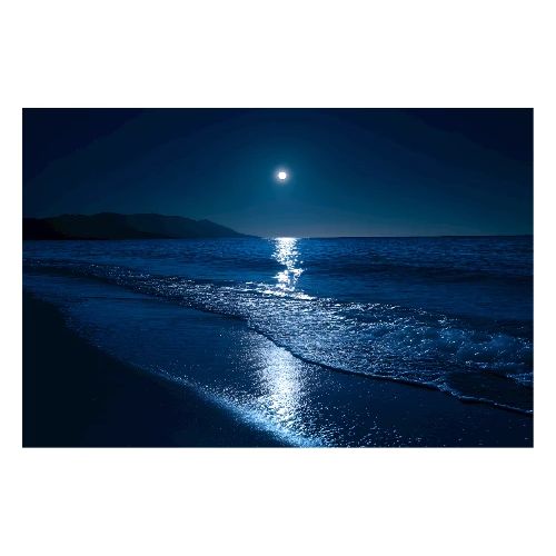 Moonlit Reflection - Poster 36x24