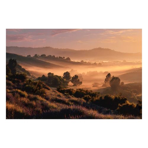 Whispering Dawn - Poster 36x24
