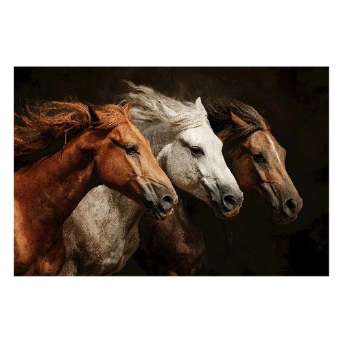 Horses: Thunder Run Trio - Poster 36x24