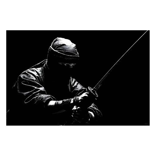 Ninja: Shadowblade Clash - Poster 36x24