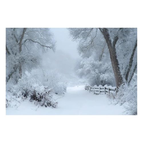 Silent Path of Snow - Poster 36x24