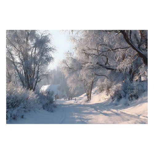 Sunlit Winter Path - Poster 36x24