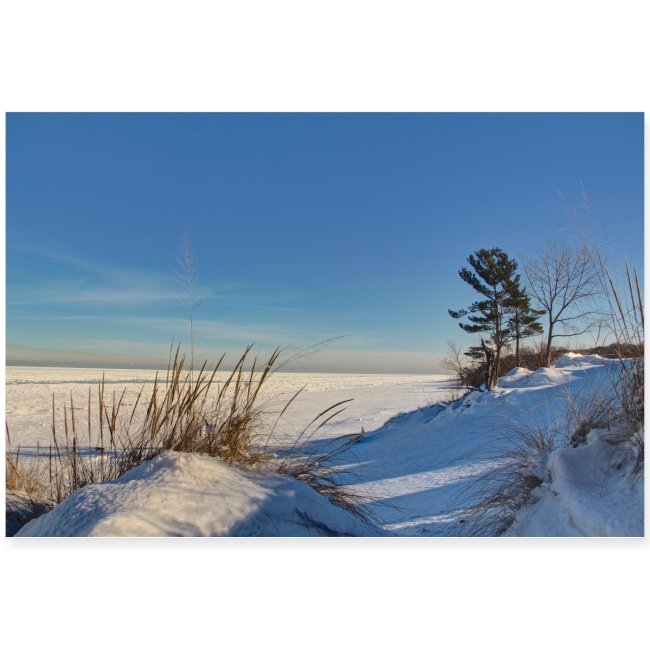 Indiana Dunes in Winter Poster